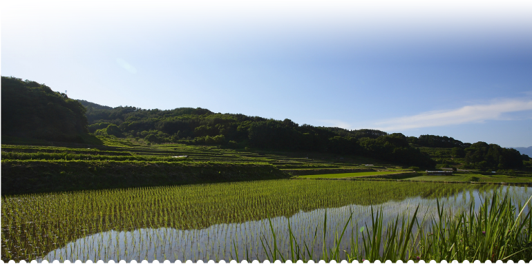 信州田舎暮らしの記